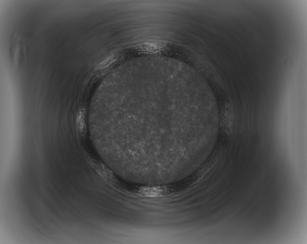 X0000103320131200810061002
