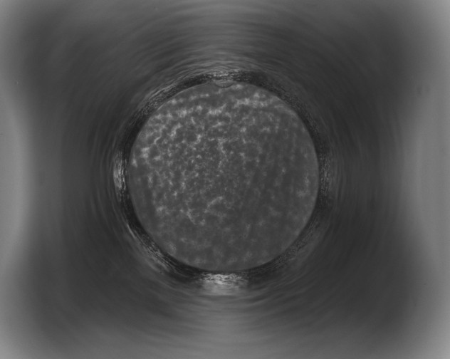 X0000103320137200810061002