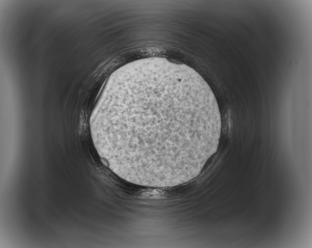 X0000103320140200810061002