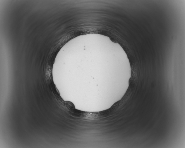 X0000103320141200810061002