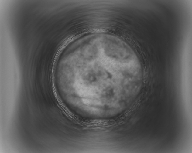 X0000103320145200810061001