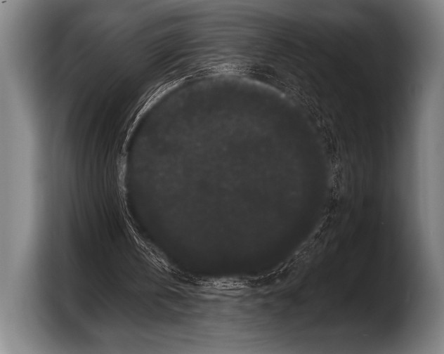 X0000103320146200810061001