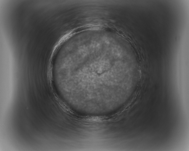 X0000103320149200810061001