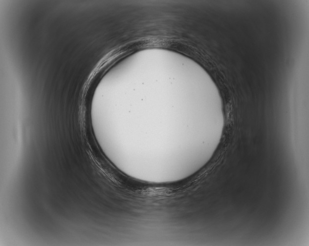 X0000103320150200810061001