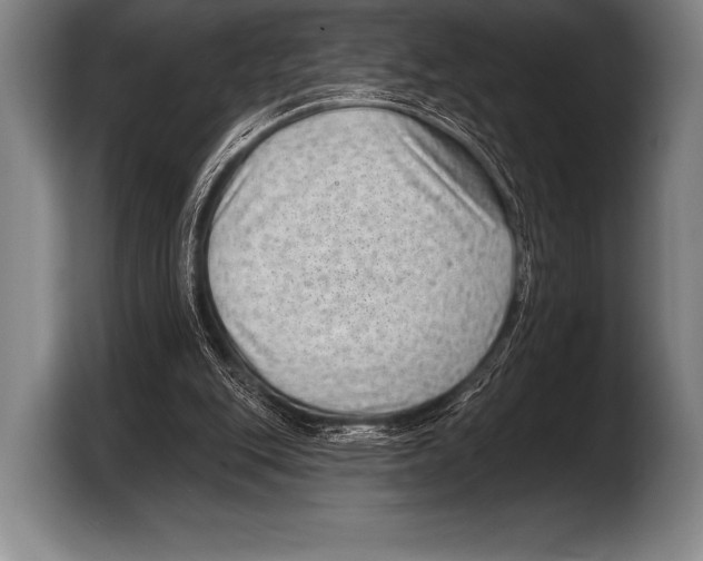 X0000103320151200810061001