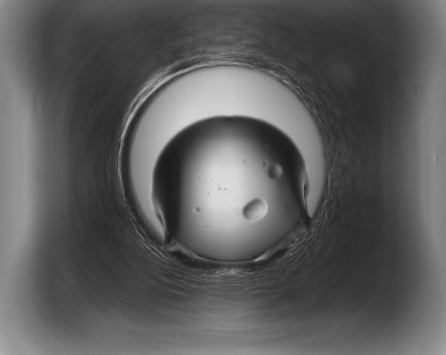 X0000103320152200810061001