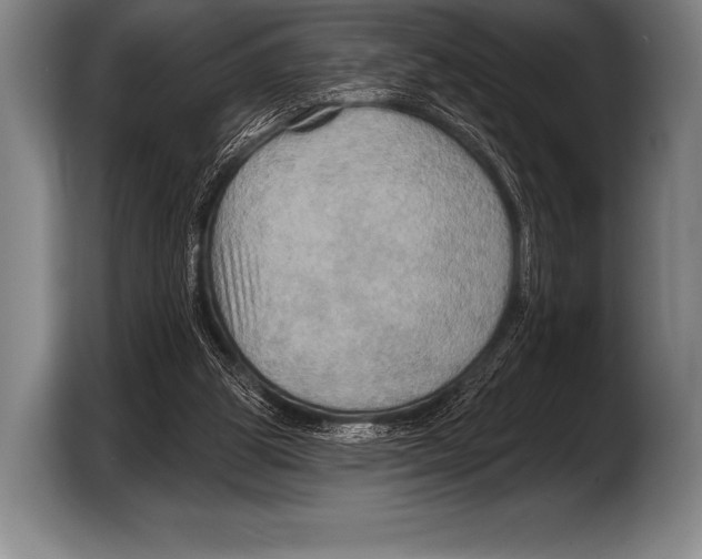X0000103320153200810061001