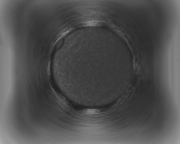 X0000103320154200810061001