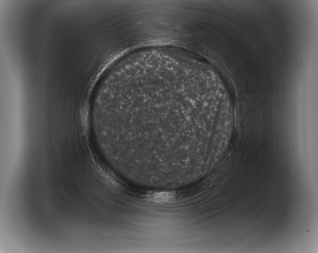 X0000103320156200810061001