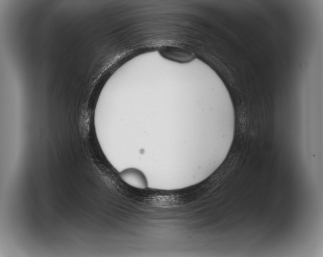 X0000103320160200810061002