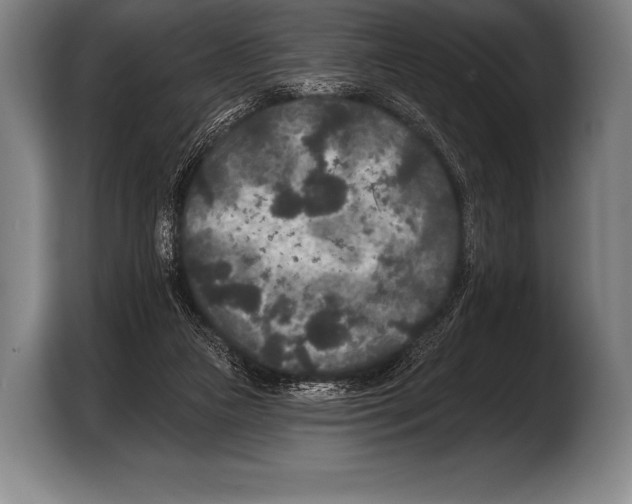 X0000103320161200810061002