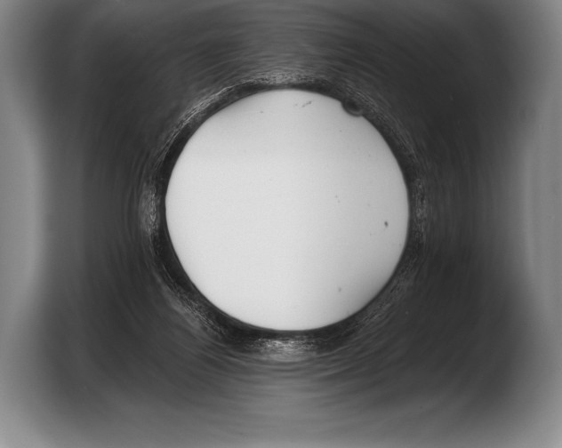 X0000103320164200810061002