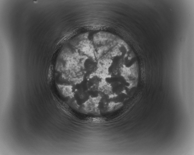 X0000103320165200810061002