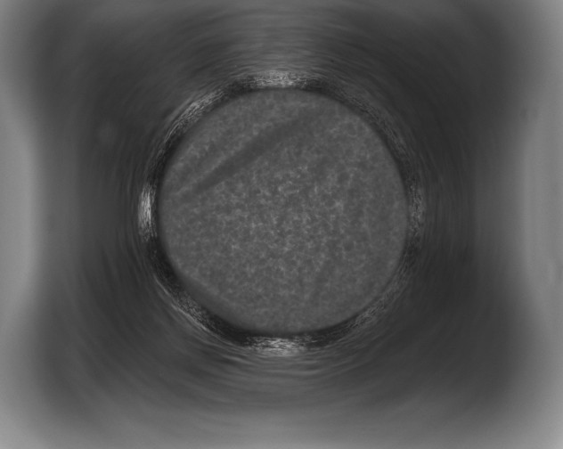 X0000103320166200810061002