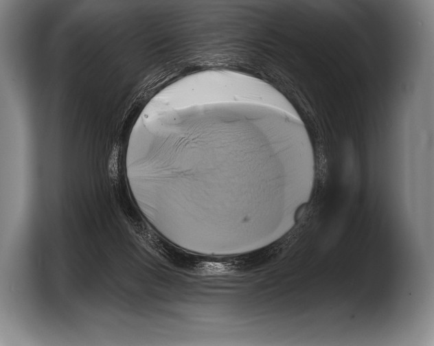 X0000103320167200810061002