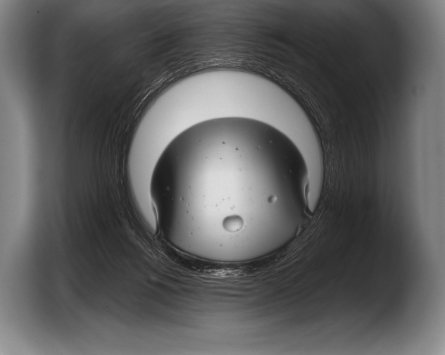 X0000103320168200810061002