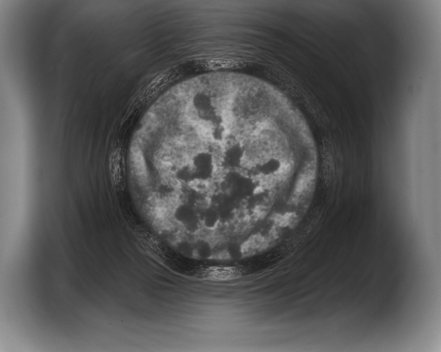 X0000103320169200810061002