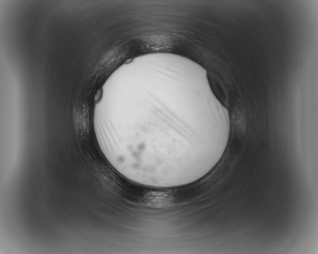 X0000103320170200810061002