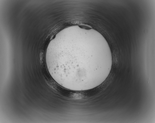 X0000103320171200810061002