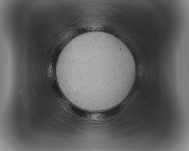 X0000103320173200810061002