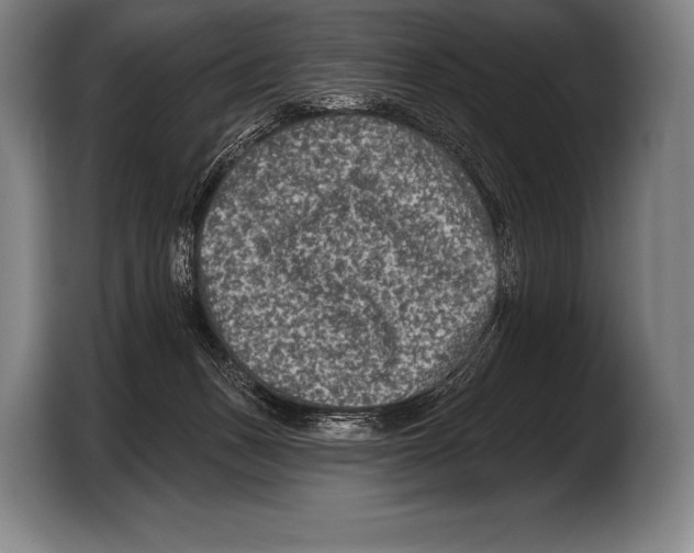 X0000103320175200810061002