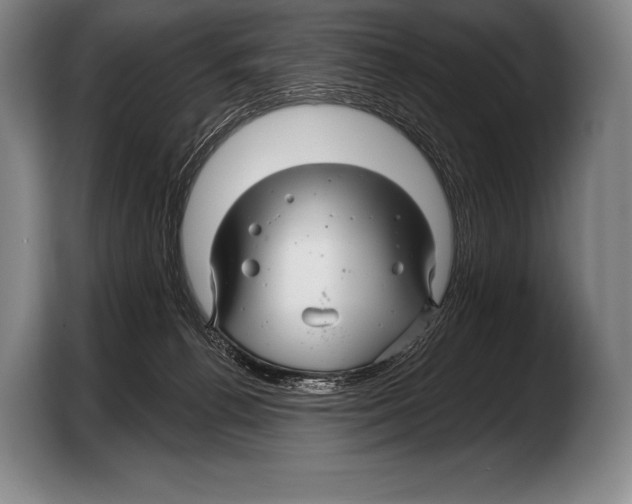 X0000103320176200810061002