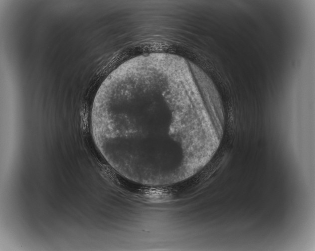 X0000103320177200810061002