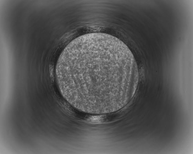 X0000103320178200810061002