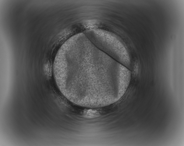 X0000103320180200810061002