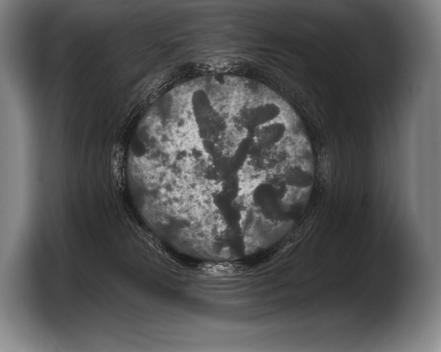 X0000103320181200810061002