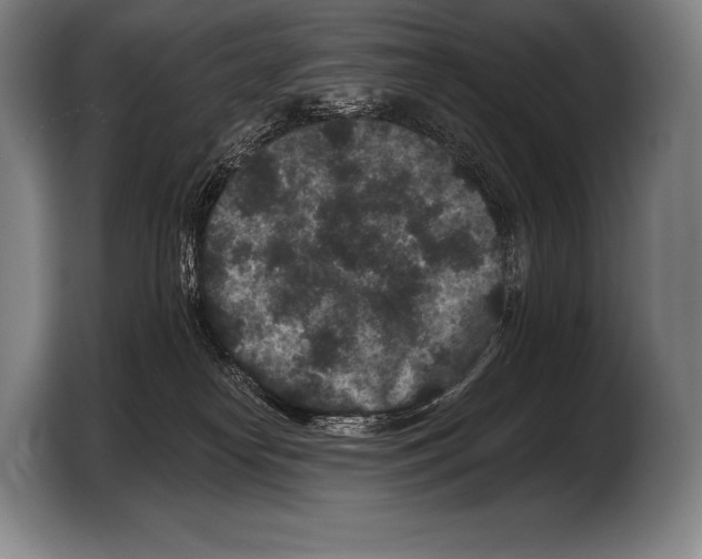 X0000103320182200810061002