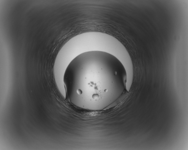 X0000103320184200810061002
