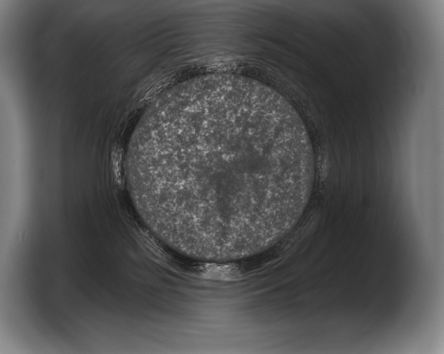 X0000103320185200810061002
