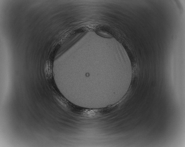 X0000103320186200810061002