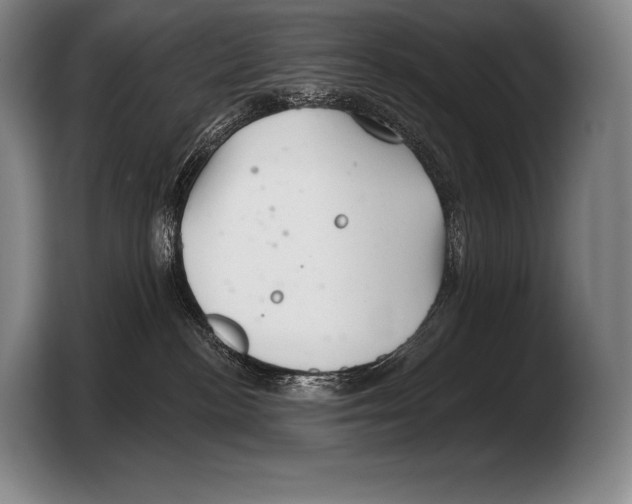 X0000103320188200810061002