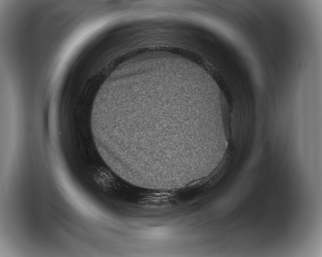 X0000103320190200810061002