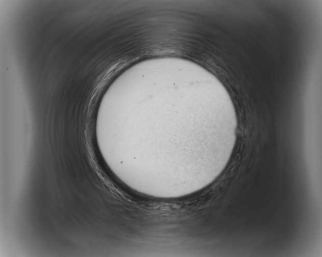 X0000103320193200810061001