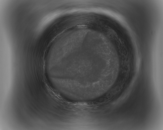 X0000103320194200810061001