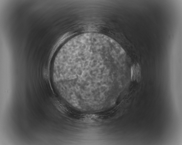 X0000103320195200810061001