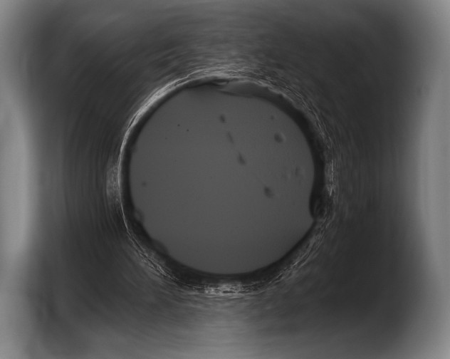 X0000103320196200810061001