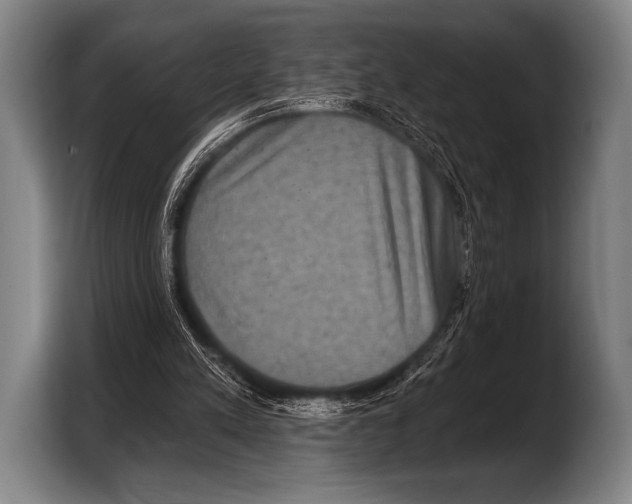 X0000103320197200810061001