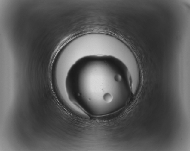 X0000103320199200810061001