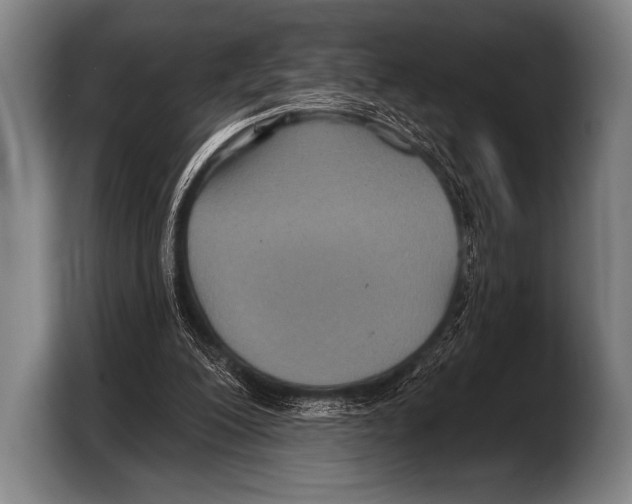 X0000103320200200810061001