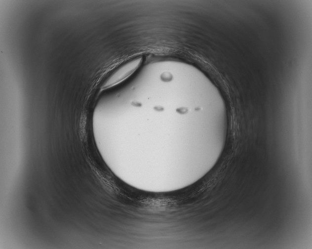 X0000103320201200810061001
