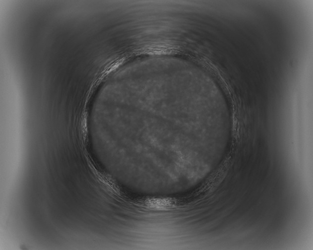 X0000103320202200810061001