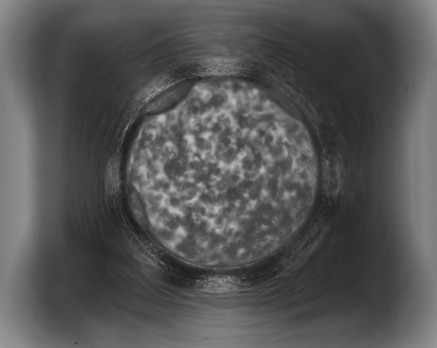 X0000103320203200810061001
