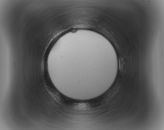X0000103320204200810061001