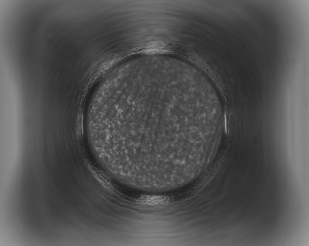 X0000103320205200810061001