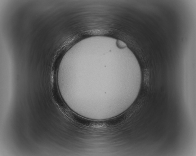 X0000103320206200810061001