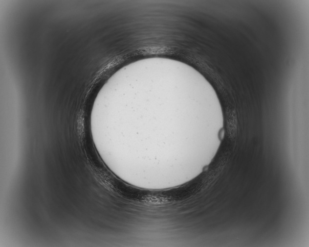 X0000103320207200810061001